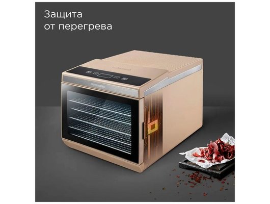 Сушилка REDMOND FD1105 бежевый